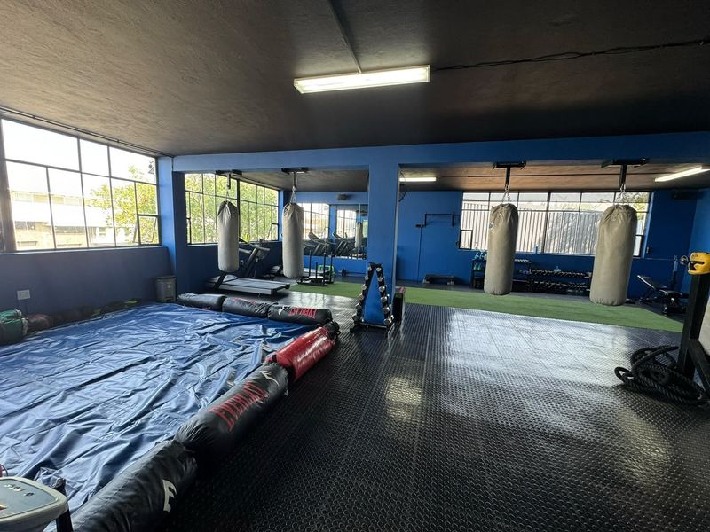 A spacious commercial gym facility featuring durable rubber flooring, artificial turf sections, large steel-framed windows, and ceiling-mounted fixtures for training equipment.