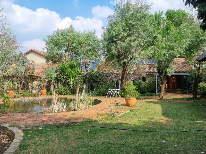 A spacious garden featuring a circular pond with brick paving, mature trees, and a thatched lapa area, offering potential for landscaping.