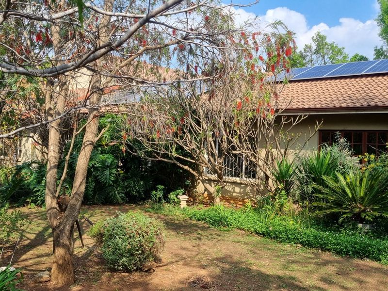 Rear view of the house featuring a tiled roof with installed solar panels, security bars on windows, and a landscaped garden area.