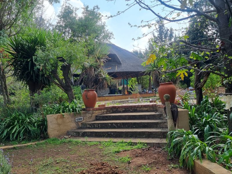 A lush, established garden featuring stone steps leading to a rear thatched-roof structure, surrounded by mature trees and landscaped greenery.