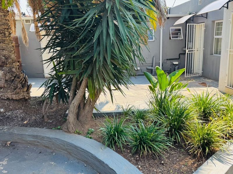 A rear courtyard area featuring concrete paving, security gates, and established garden beds against the building exterior.