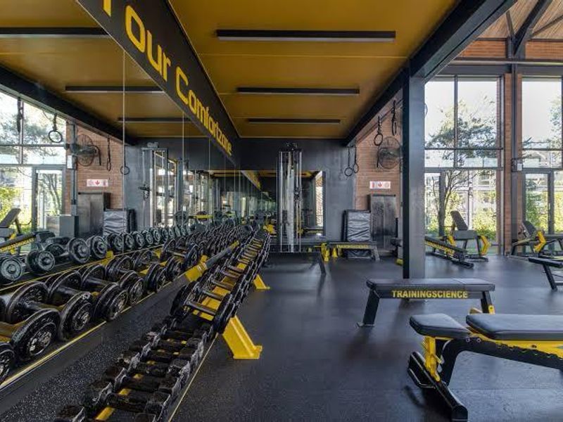 A modern, well-equipped gym facility featuring rubberized flooring, extensive wall mirrors, and large windows providing ample natural light and a spacious atmosphere.