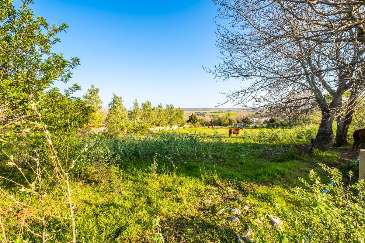 A scenic view of a spacious, green residential plot featuring mature trees and open pasture land, ideal for development or rural living.