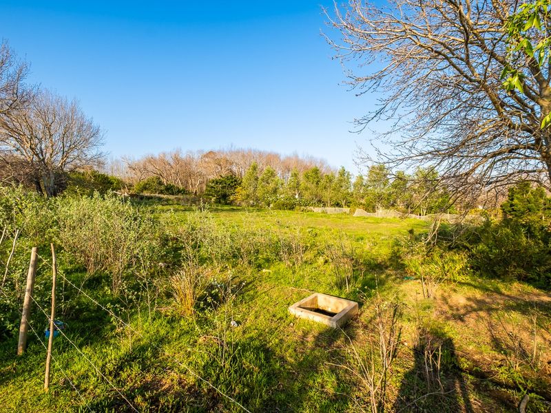 Large Stand in the Heart of the Hamlet - Photo 3