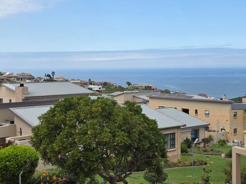 Elevated coastal view overlooking a residential estate with well-maintained brick homes, metal roofs, and landscaped gardens.
