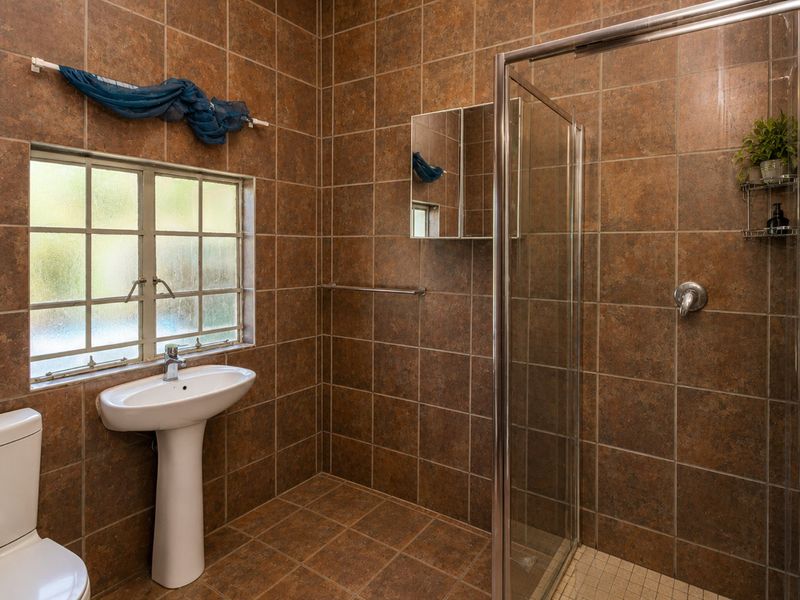 A functional bathroom featuring a pedestal basin, toilet, and a glass-enclosed shower, finished with full-height brown ceramic wall and floor tiles.