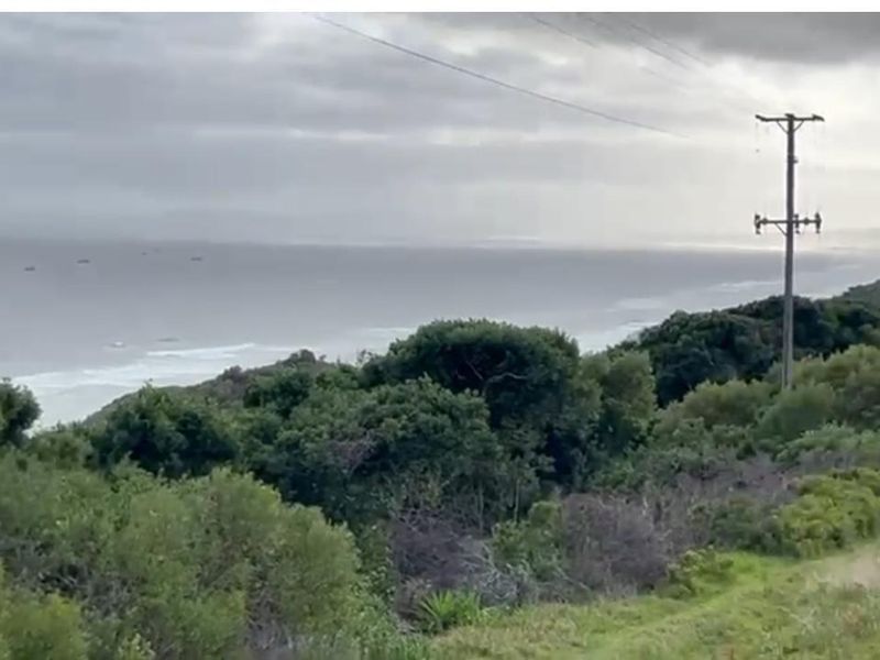 A scenic coastal landscape view featuring natural vegetation and utility infrastructure under an overcast sky.