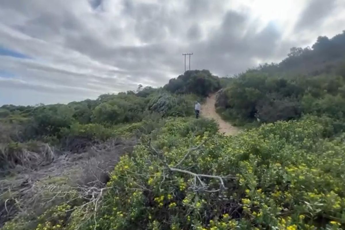 A natural landscape view of the farm property featuring a dirt path winding through native vegetation and shrubbery.