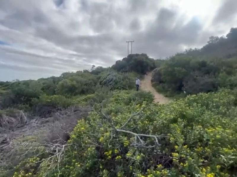 A natural landscape view of the farm property featuring a dirt path winding through native vegetation and shrubbery.
