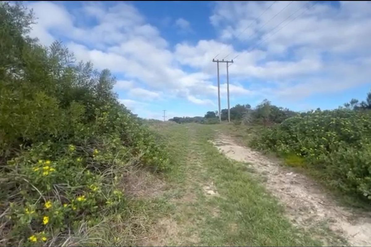 A view of an unpaved access track on the farm property, bordered by natural vegetation and featuring overhead utility lines.