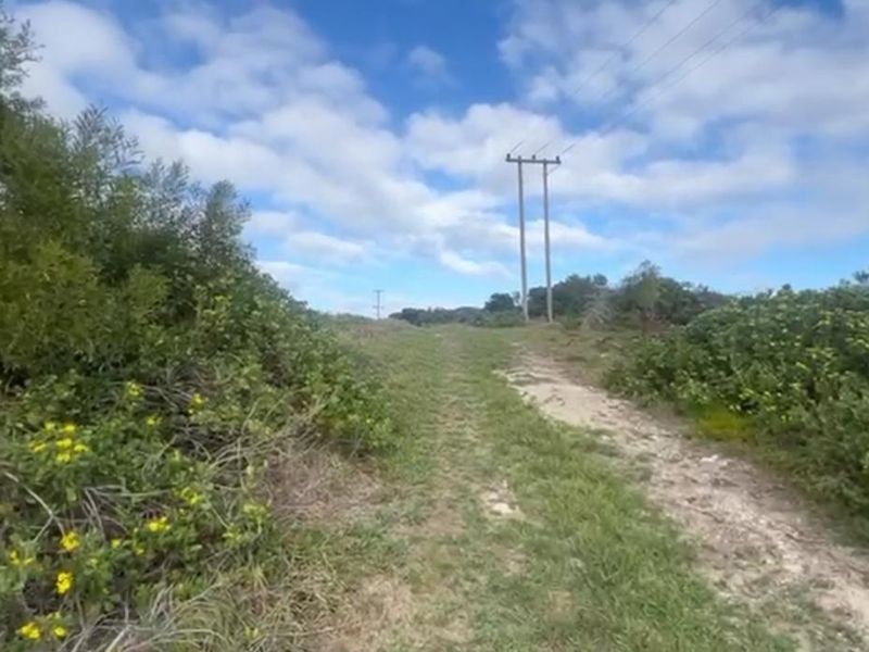 A natural outdoor landscape featuring a dirt track path flanked by native vegetation and overhead power lines under a blue sky.