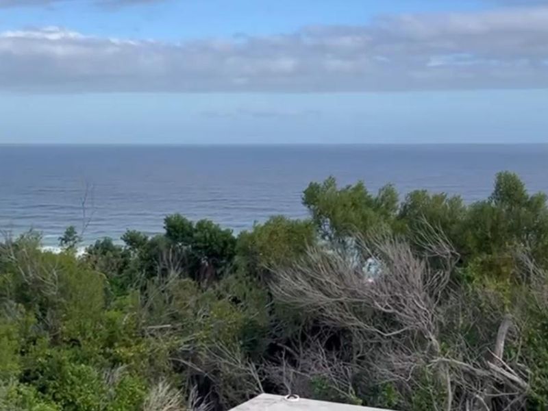 A scenic elevated view overlooking the ocean and surrounding coastal vegetation.