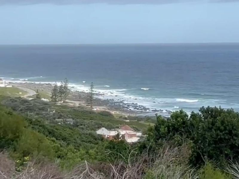Elevated coastal landscape view overlooking the ocean, shoreline, and surrounding natural vegetation.