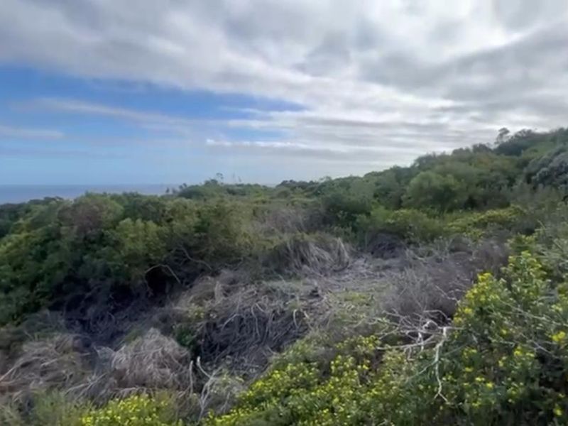 A scenic view of the coastal landscape featuring natural indigenous vegetation and rolling terrain.