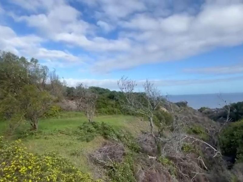 A scenic view of the coastal landscape featuring natural vegetation and rolling terrain overlooking the ocean.