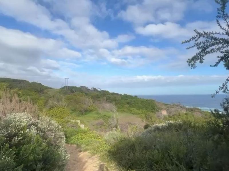 A scenic view of the coastal landscape and natural vegetation on the farm property.