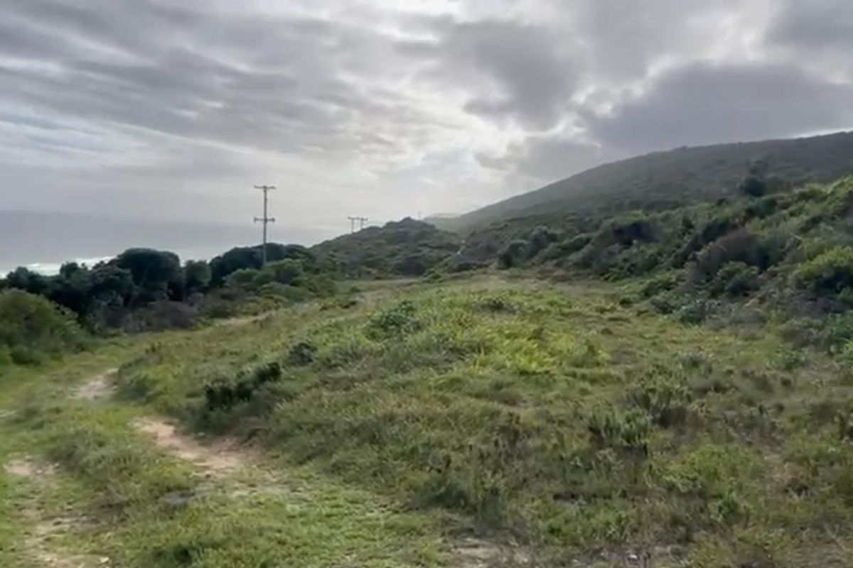 A scenic view of the coastal landscape featuring natural vegetation and rolling hills, with utility poles visible in the distance.
