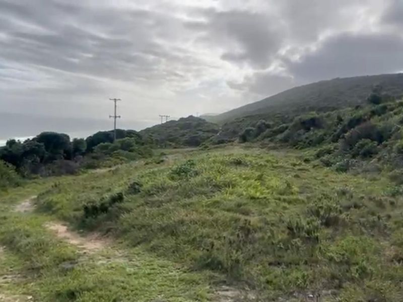 A scenic view of the coastal landscape featuring natural vegetation and rolling hills, with utility poles visible in the distance.