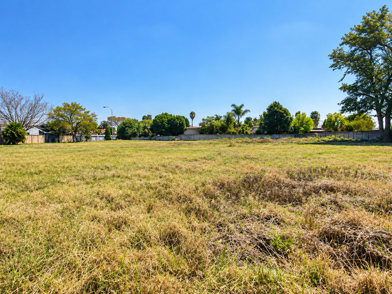 A spacious, level vacant residential plot featuring established perimeter walls and mature trees, offering a blank canvas for future development.