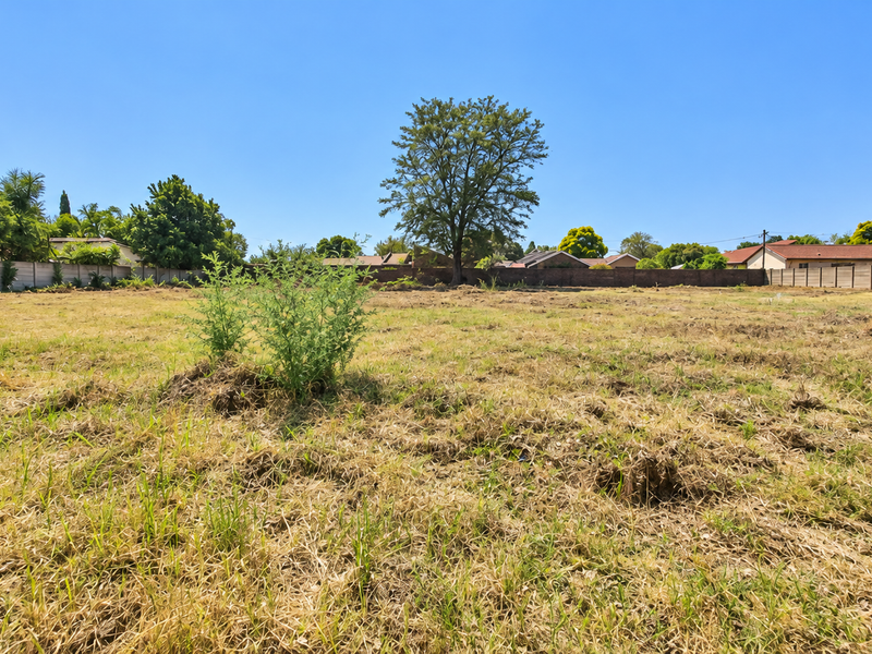 A vacant residential plot of land featuring a perimeter wall and established trees, offering a clear space ready for development.