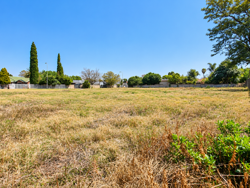 A spacious, level vacant residential plot featuring established boundary walls and mature trees, offering a blank canvas for future development.