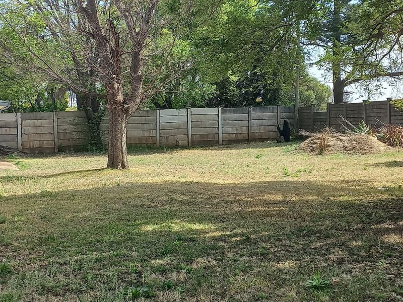 A spacious backyard featuring a large lawn, mature trees, and a precast concrete boundary wall, offering potential for landscaping and outdoor development.