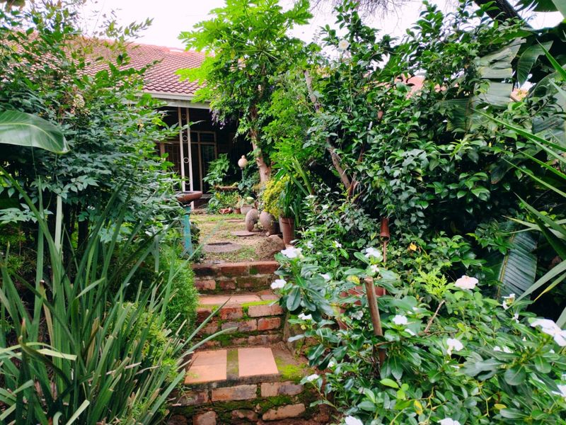 A lush, overgrown garden path featuring a brick staircase leading toward the rear entrance of the house.