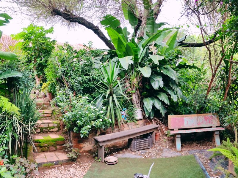 A lush, overgrown garden area featuring brick stairs leading to a higher level, surrounded by mature tropical plants and trees.