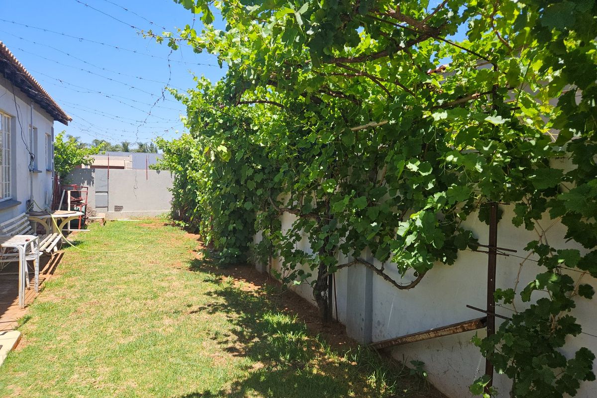 A rear garden area featuring a boundary wall with an established grapevine trellis system and a grass lawn.