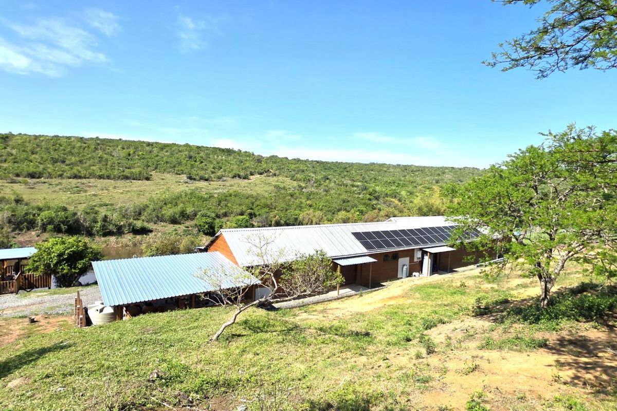 Aerial view of a farm property featuring a long building with a metal roof, integrated solar panels, and surrounding rural landscape.