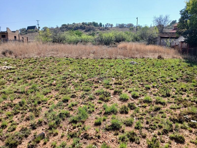 A view of a vacant residential plot featuring natural vegetation and open land, suitable for future development.