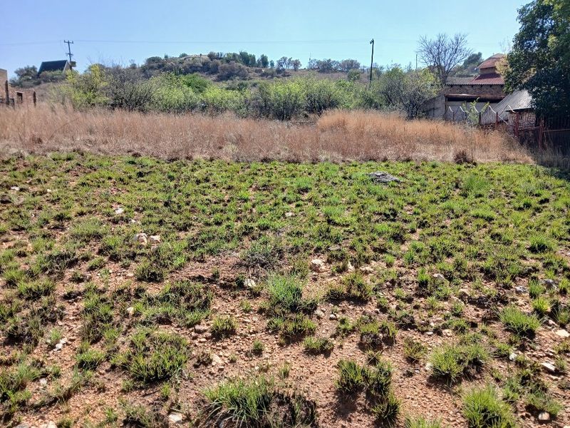 A view of an undeveloped residential plot featuring natural vegetation and open land, suitable for future construction.