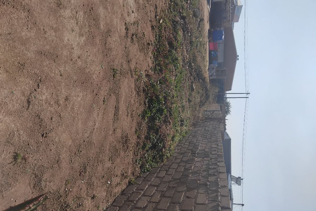 An undeveloped outdoor garden area featuring a brick boundary wall and unpaved ground, offering potential for landscaping and outdoor improvement.