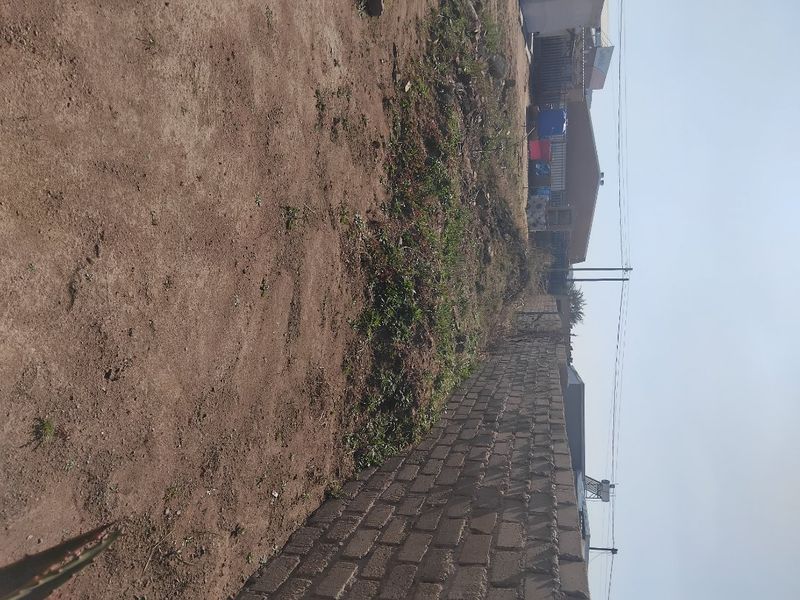 An undeveloped outdoor garden area featuring a brick boundary wall and unpaved ground, offering potential for landscaping and outdoor improvement.