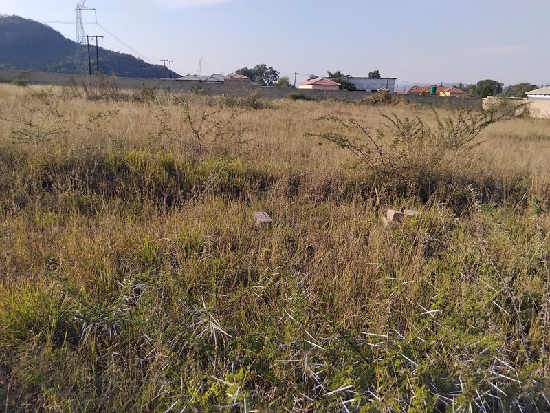 A view of an undeveloped residential plot featuring overgrown grass and a perimeter wall in the background.