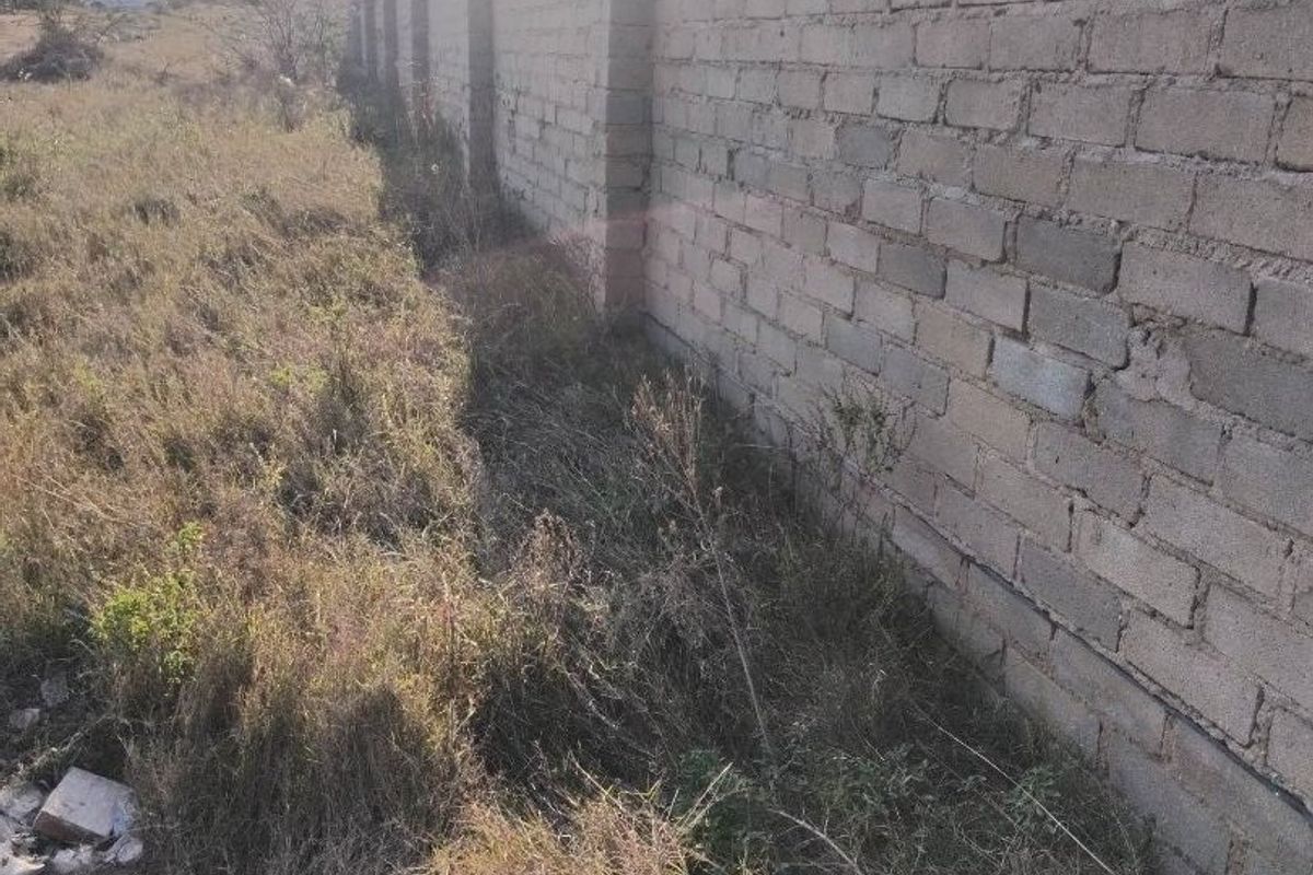 A view of the vacant residential land featuring an unplastered perimeter brick wall and overgrown vegetation on the plot.