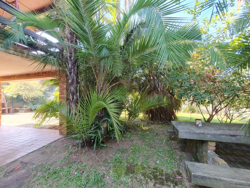 A covered outdoor patio area featuring brick pillars, a built-in braai, and tiled flooring, set within a garden space with mature palm trees.