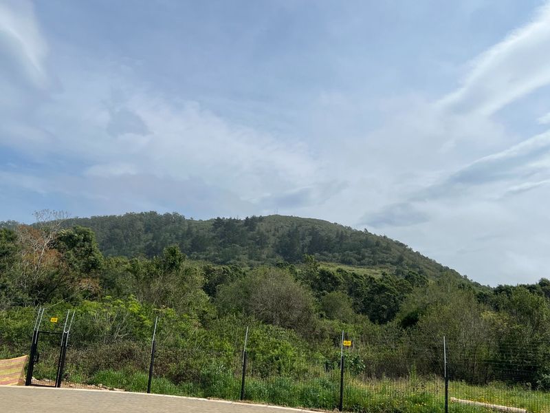 A scenic view of a lush, green hillside landscape featuring natural vegetation and a perimeter fence.