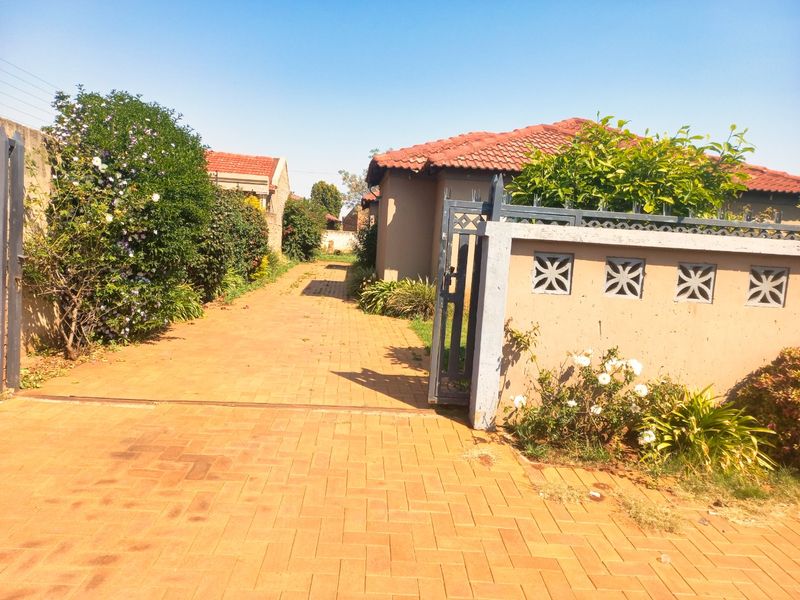 A paved driveway leading to the property entrance, featuring a boundary wall with decorative breeze blocks and a metal gate.