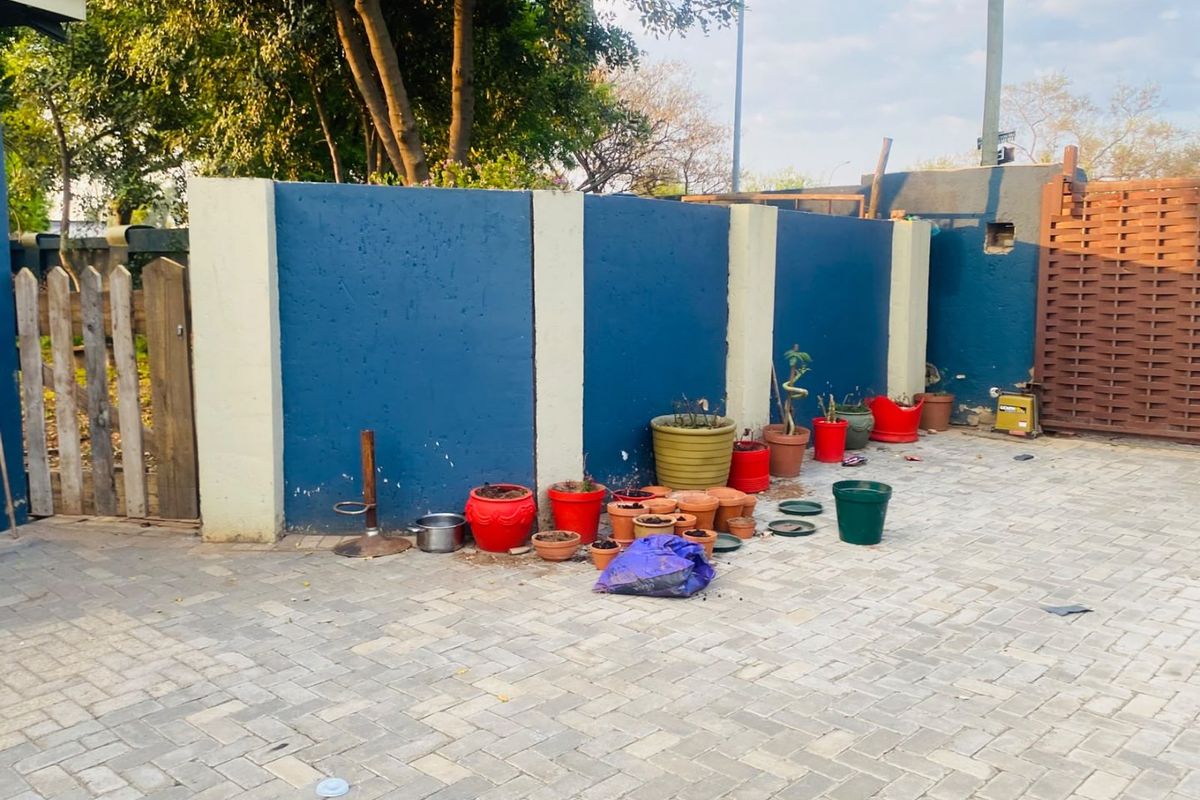 A paved rear courtyard area featuring a blue boundary wall with timber gate and screen access.