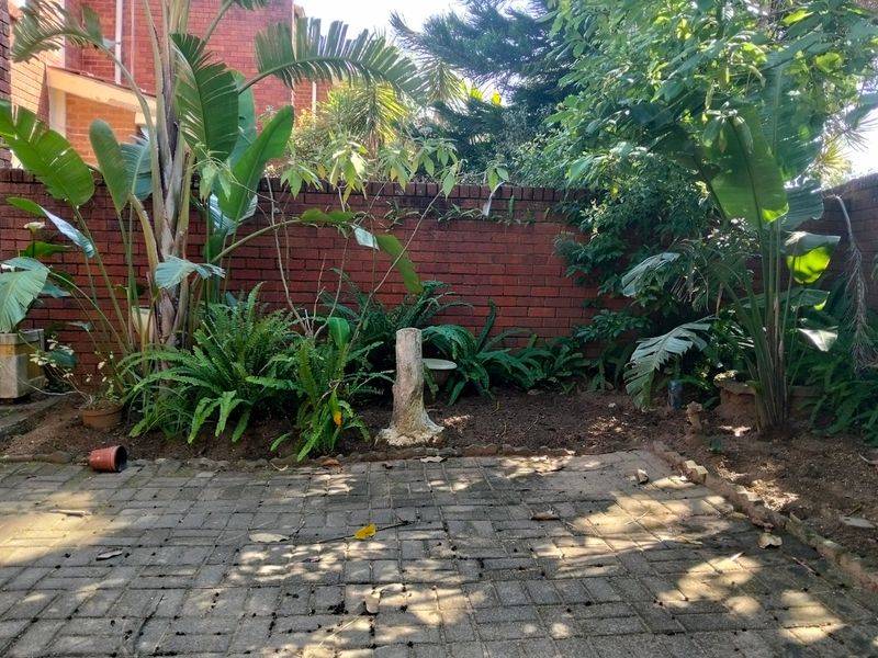 A private garden area featuring a paved patio and a brick boundary wall, surrounded by established tropical plants and greenery.