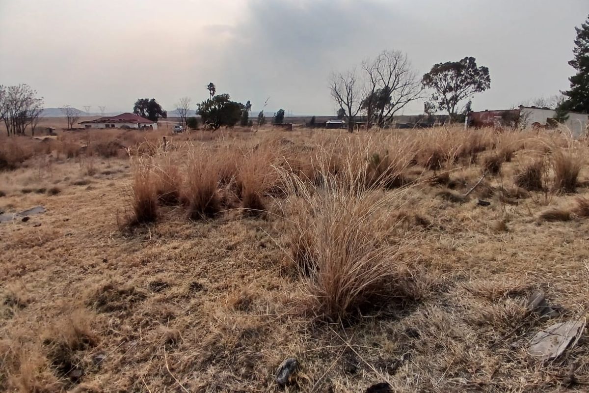 A view of a vacant residential plot featuring dry natural vegetation and open space, suitable for future development.