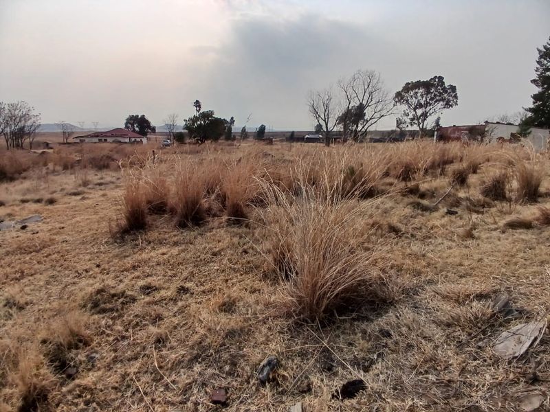 A view of a vacant residential plot featuring dry natural vegetation and open space, suitable for future development.