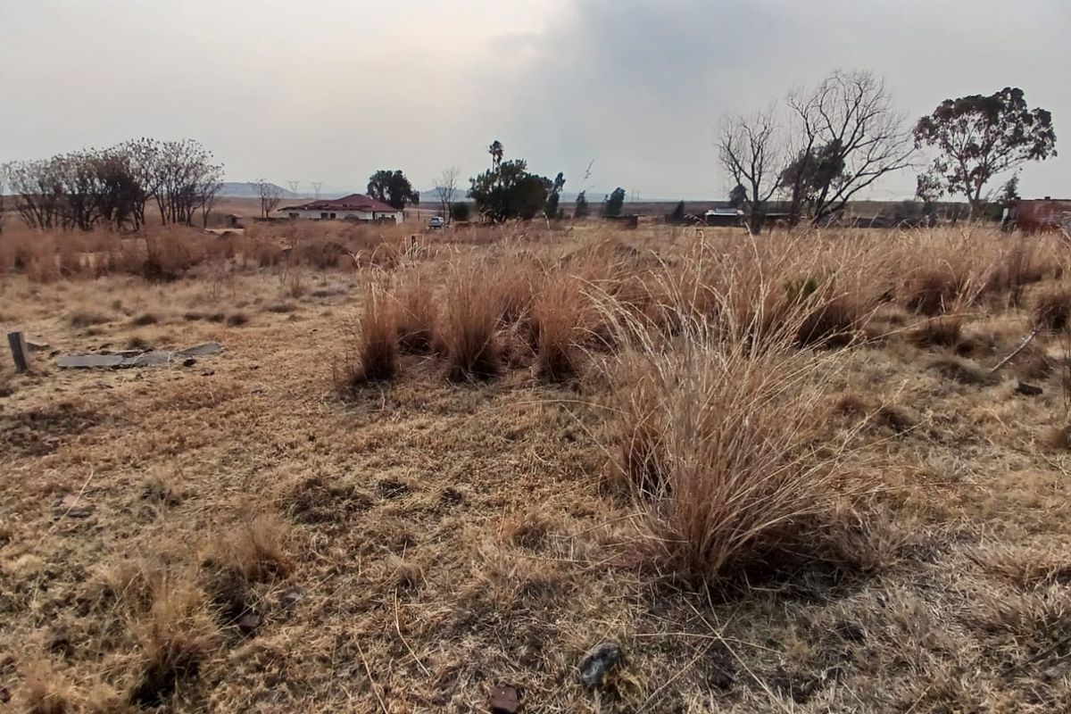 A view of a vacant residential plot featuring dry natural vegetation and open land, suitable for future development.