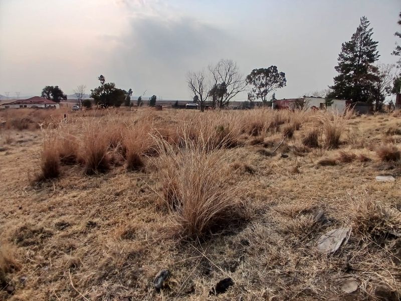 A view of a vacant residential plot featuring dry grass and mature trees, suitable for future development.