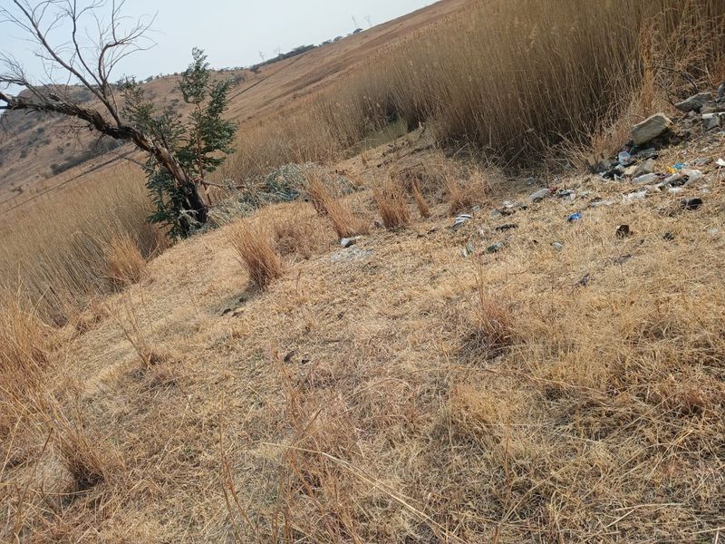 A view of the vacant residential land featuring dry grass, natural vegetation, and visible surface debris.