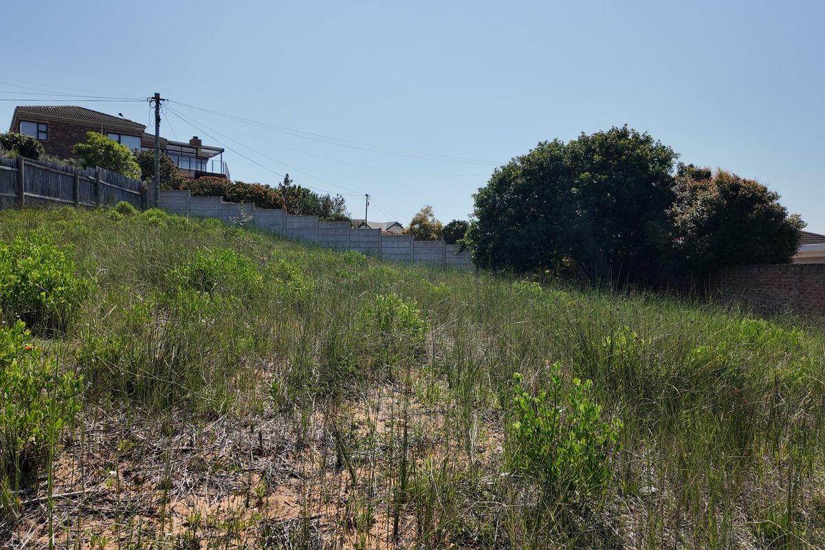 A sloped, undeveloped residential plot featuring natural vegetation, enclosed by a precast concrete boundary wall with surrounding neighborhood homes visible.