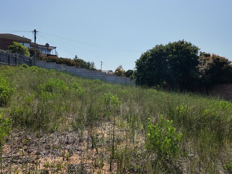 A sloped, undeveloped residential plot featuring natural vegetation, enclosed by a precast concrete boundary wall with surrounding neighborhood homes visible.