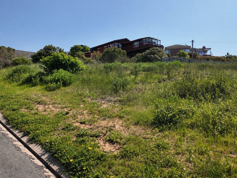 A view of a vacant residential plot from the adjacent paved road, featuring natural vegetation and surrounding neighborhood homes.