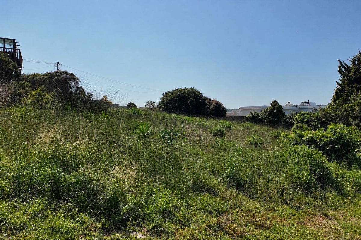 A view of a sloped, undeveloped residential plot featuring natural vegetation and surrounding neighborhood context.